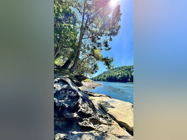 231 Halibut Hill Road, Mudge Island, BC, V0R 1X6 - 72