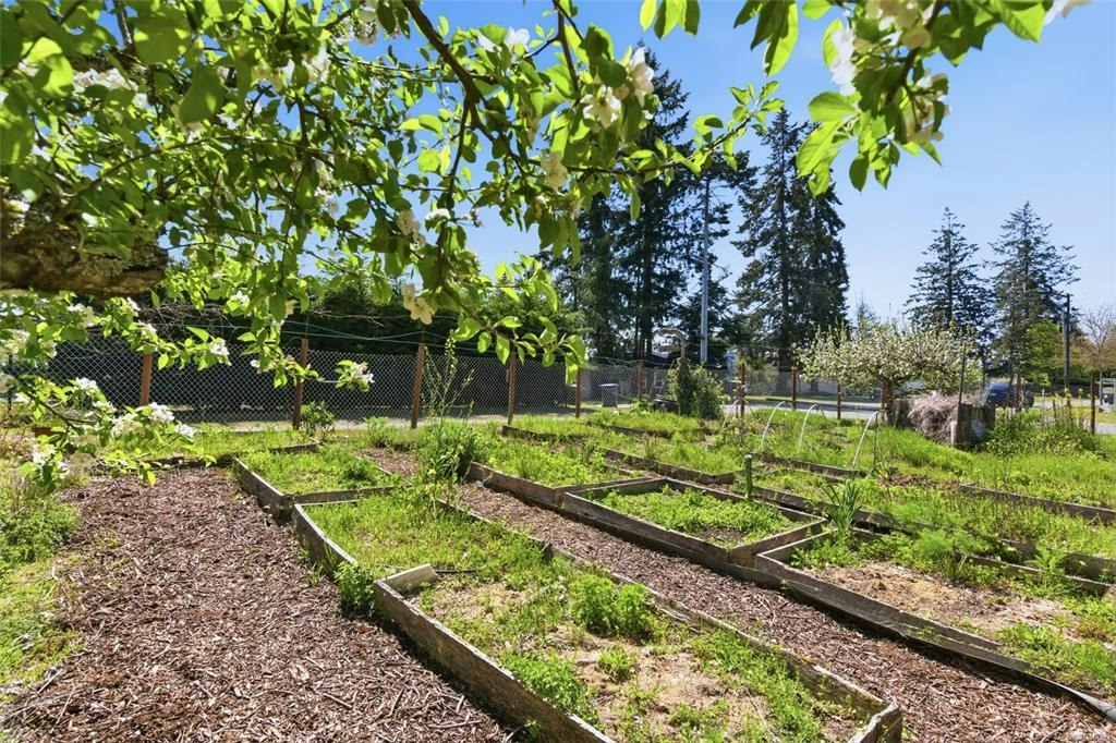 590 Willow Street, Parksville, BC, V9P 1A5 - 56