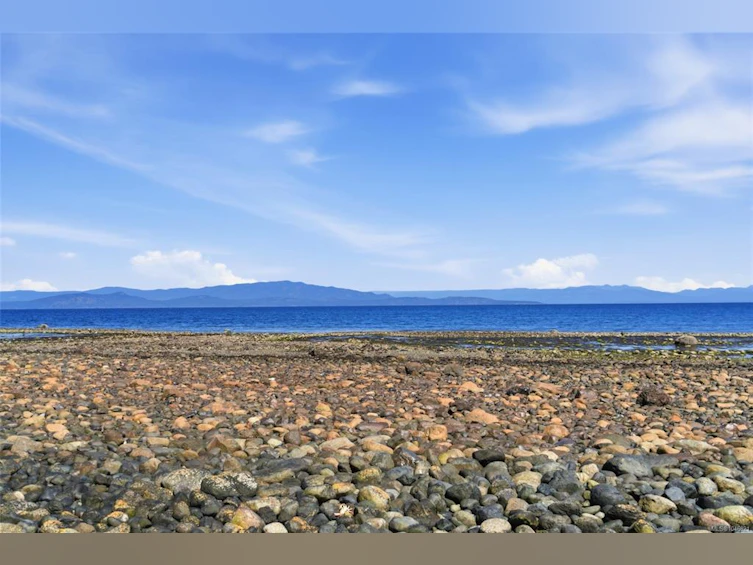 590 Willow Street, Parksville, BC, V9P 1A5 - 72
