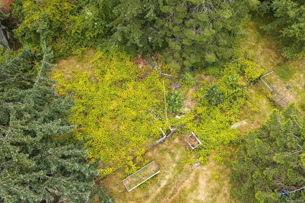 8808 N Island Highway, Black Creek, BC, V9J 1K5 - 35