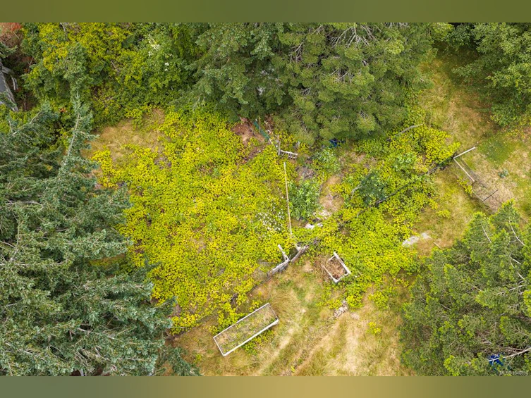 8808 N Island Highway, Black Creek, BC, V9J 1K5 - 35