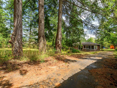 8808 N Island Highway - 5