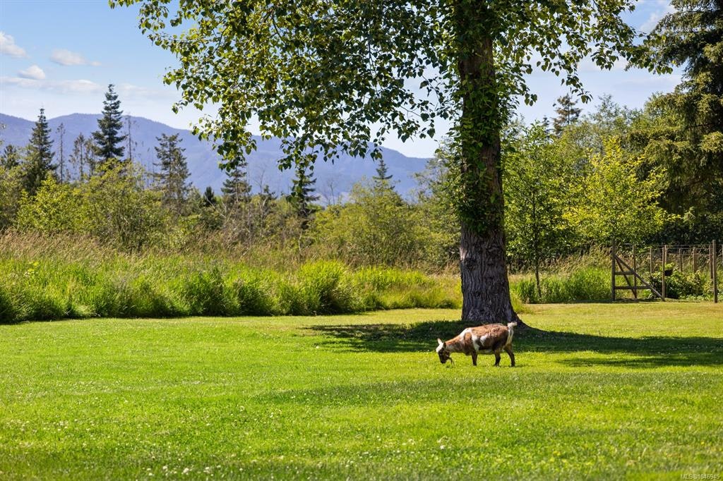 2925 Baird Road, Cumberland, BC, V9N 9N6 - 6