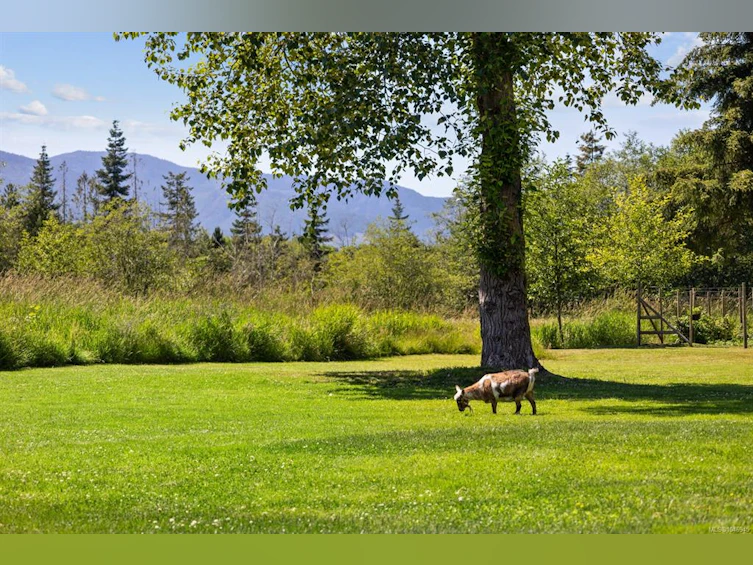 2925 Baird Road, Cumberland, BC, V9N 9N6 - 6