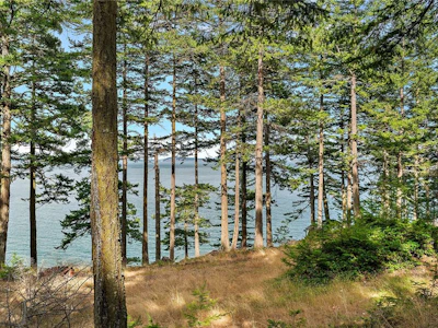 1324 Greenleaf Lane - 3