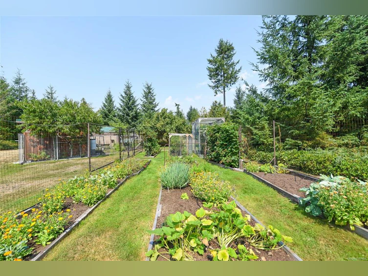 1131 Hecker Road, Black Creek, BC, V0R 2M0 - 23