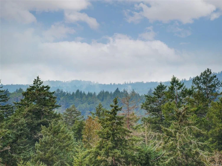 77-530 Marsett Place, Saanich, BC, V8Z 7J2 - 36