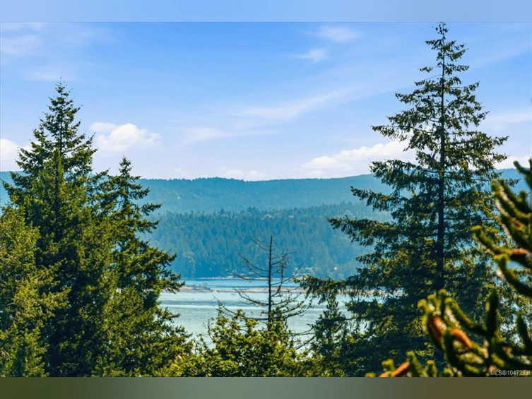 422 Battie Drive, Ladysmith, BC, V9G 1V4 - 40