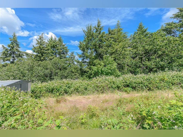 3967 Juan De Fuca Terrace, Saanich, BC, V8N 5W9 - 39