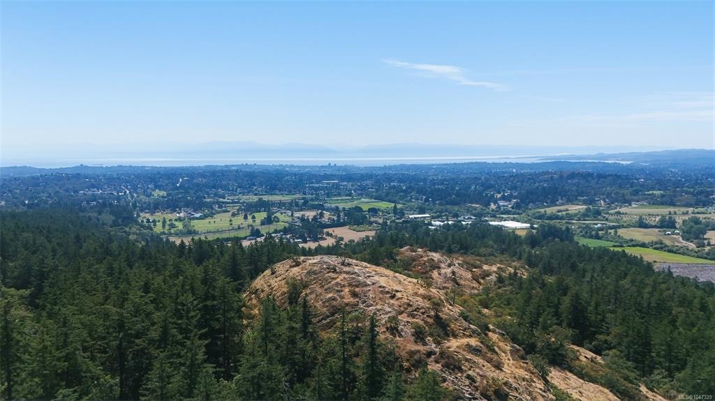 1232 Pearce Crescent, Saanich, BC, V8X 3S9 - 57
