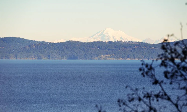 4553 Cordova Bay Road