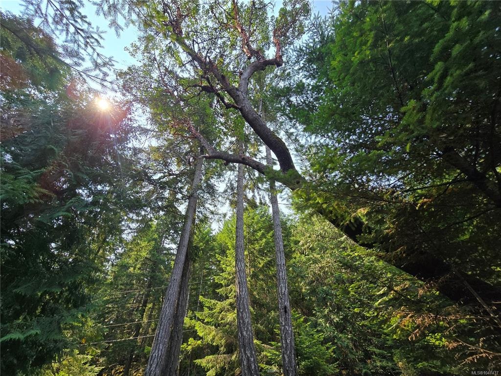 234 Plateau Road, Thetis Island, BC, V0R 2Y0 - 52