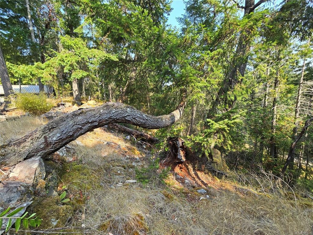 234 Plateau Road, Thetis Island, BC, V0R 2Y0 - 53