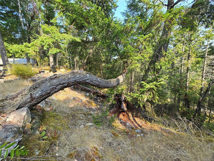 234 Plateau Road, Thetis Island, BC, V0R 2Y0 - 53