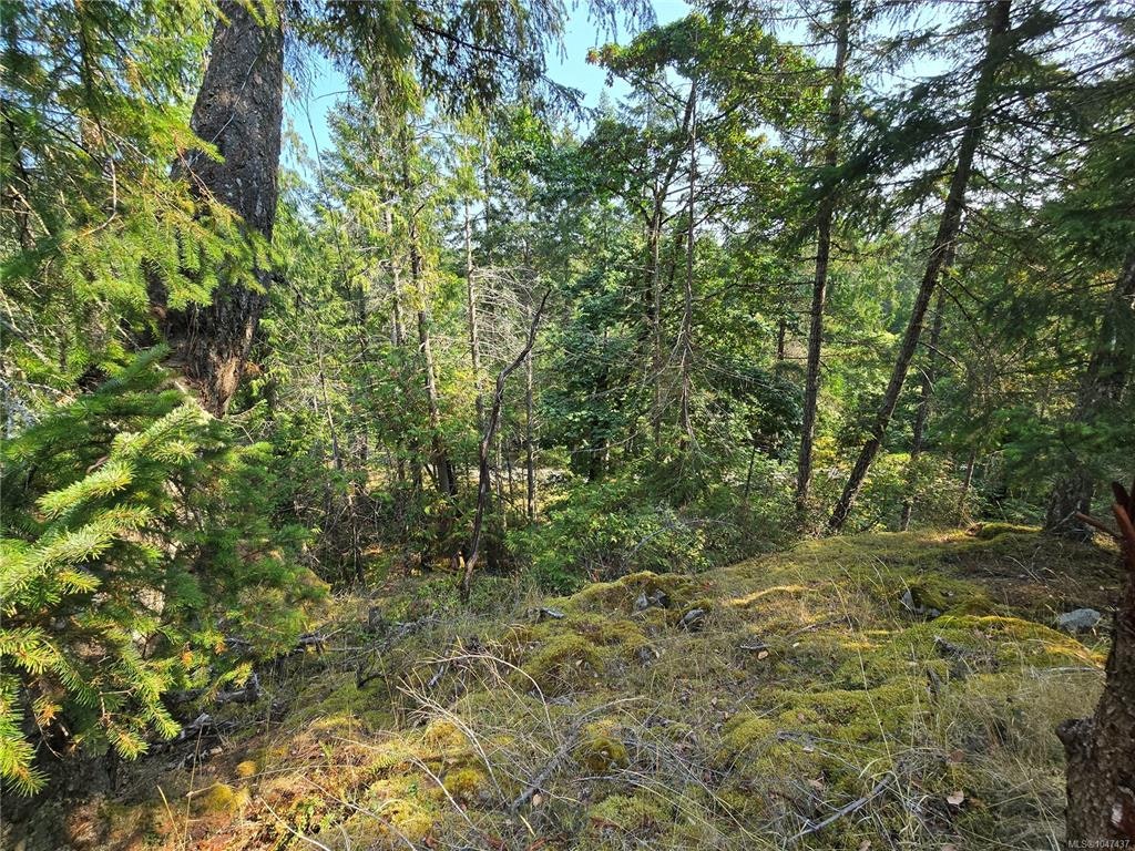 234 Plateau Road, Thetis Island, BC, V0R 2Y0 - 54