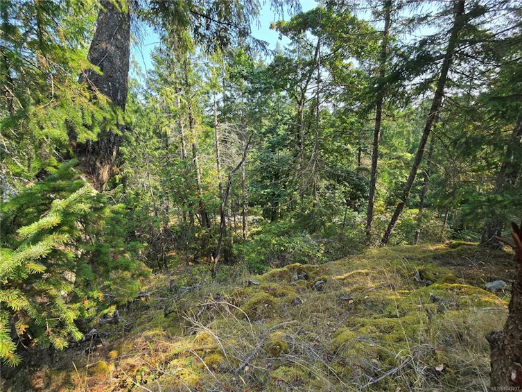 234 Plateau Road, Thetis Island, BC, V0R 2Y0 - 54