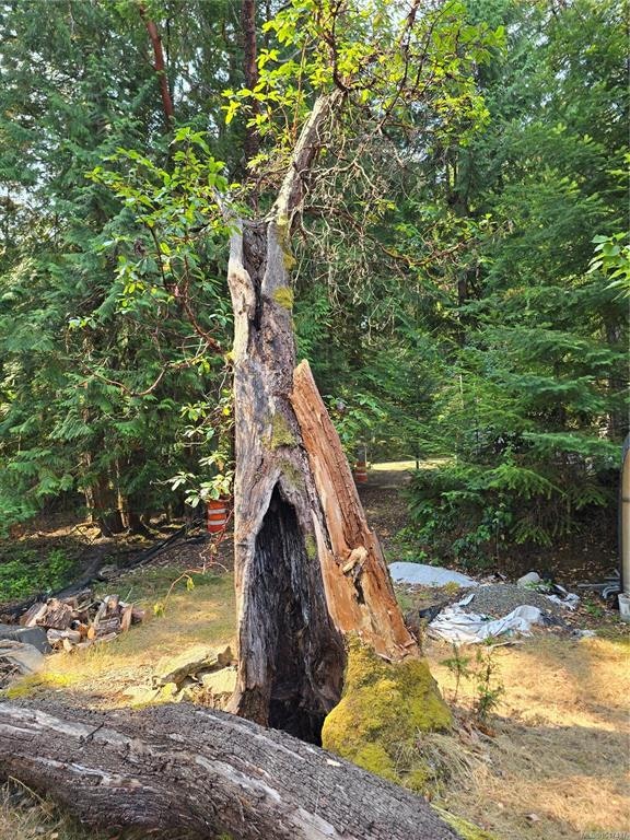 234 Plateau Road, Thetis Island, BC, V0R 2Y0 - 55
