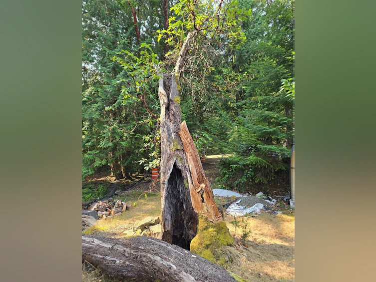 234 Plateau Road, Thetis Island, BC, V0R 2Y0 - 55