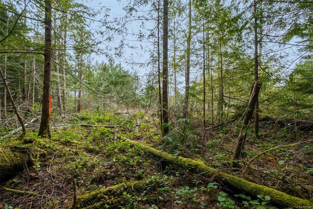 Lot 11-815 Spider Lake Road, Qualicum Beach, BC, V9K 2L7 - 20