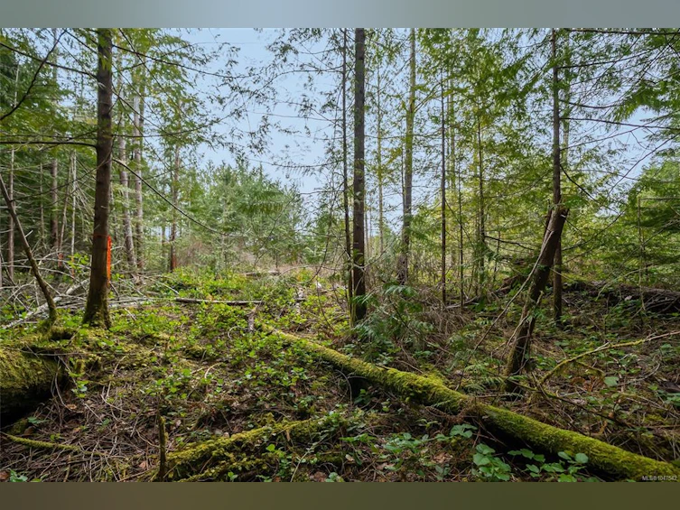 Lot 11-815 Spider Lake Road, Qualicum Beach, BC, V9K 2L7 - 20
