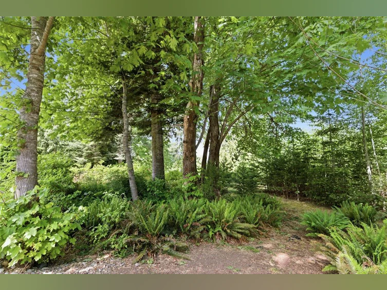 3831 Creekside Drive, Bowser/Deep Bay, BC, V0R 1G0 - 50