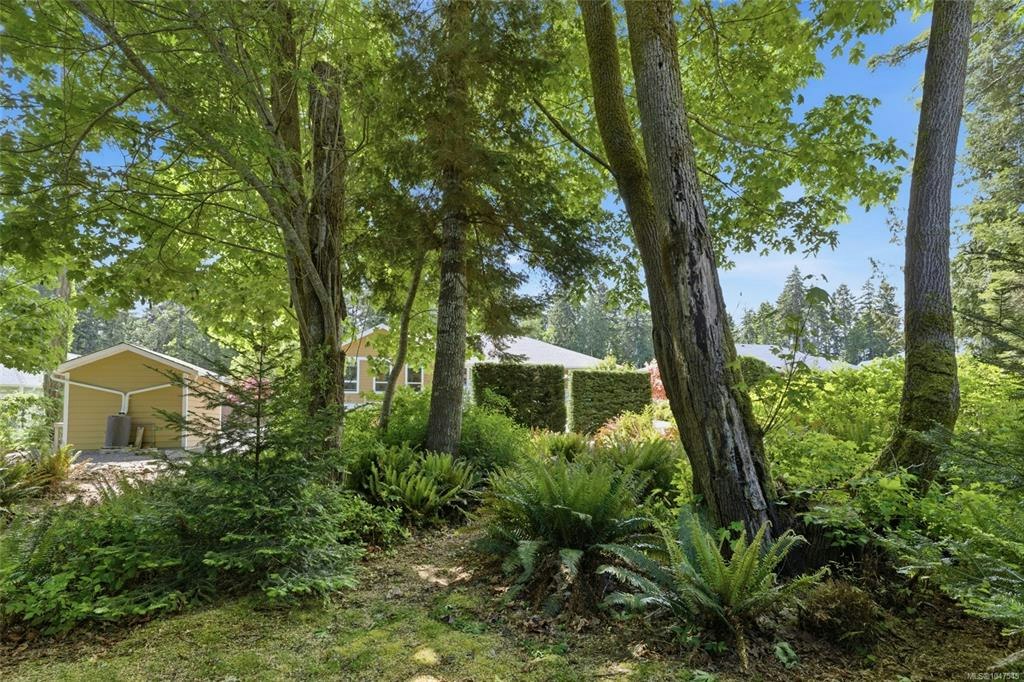 3831 Creekside Drive, Bowser/Deep Bay, BC, V0R 1G0 - 48