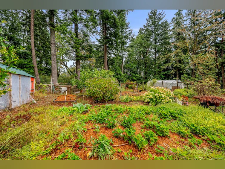 652 Fox Road, Quadra Island, BC, V0P 1N0 - 67