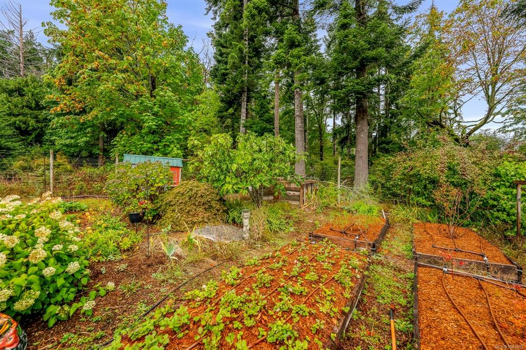 652 Fox Road, Quadra Island, BC, V0P 1N0 - 64