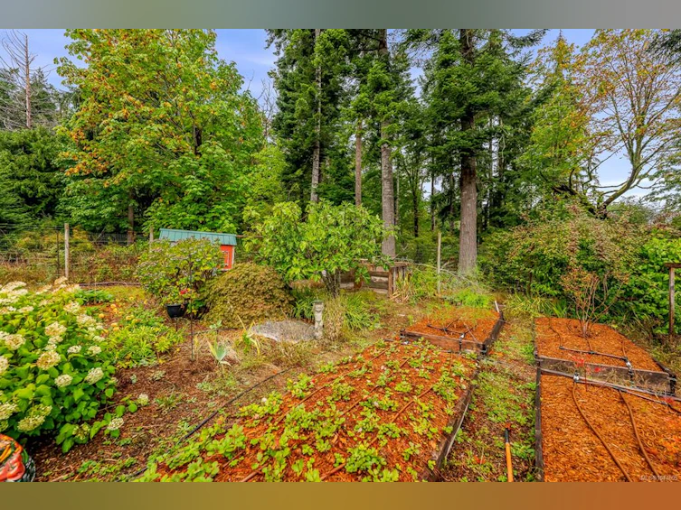 652 Fox Road, Quadra Island, BC, V0P 1N0 - 64