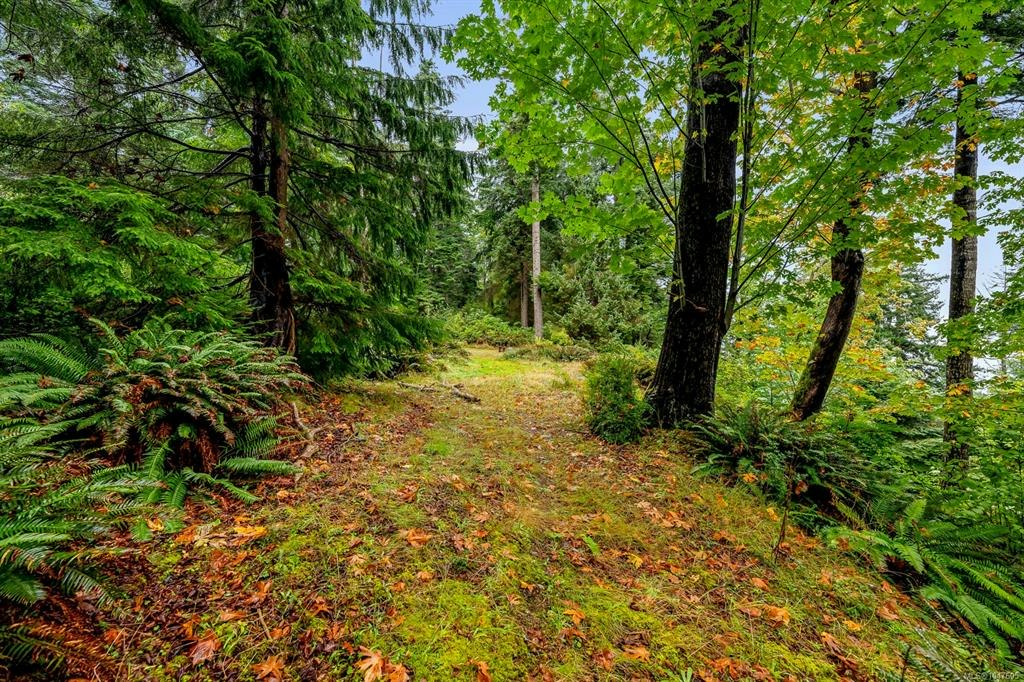 652 Fox Road, Quadra Island, BC, V0P 1N0 - 80