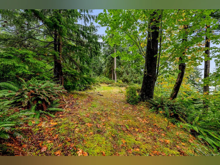 652 Fox Road, Quadra Island, BC, V0P 1N0 - 80