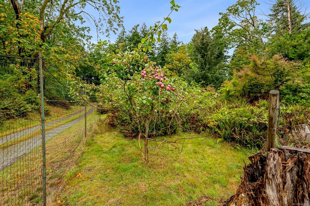 652 Fox Road, Quadra Island, BC, V0P 1N0 - 59