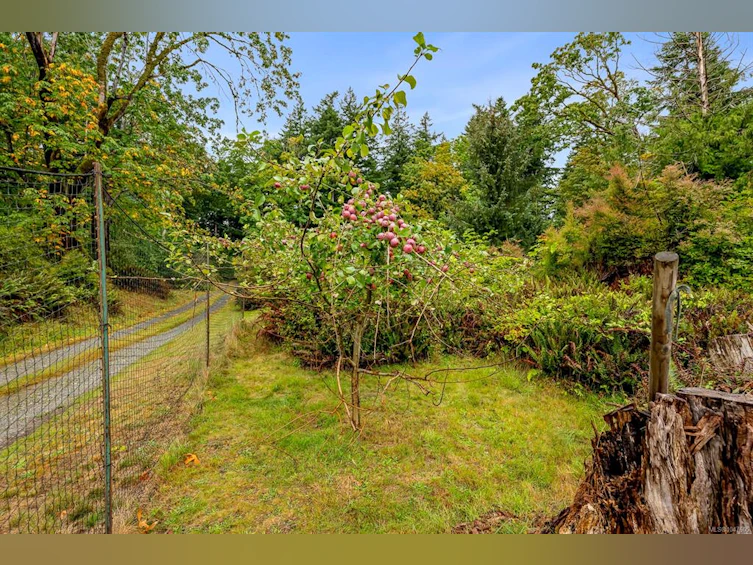 652 Fox Road, Quadra Island, BC, V0P 1N0 - 59