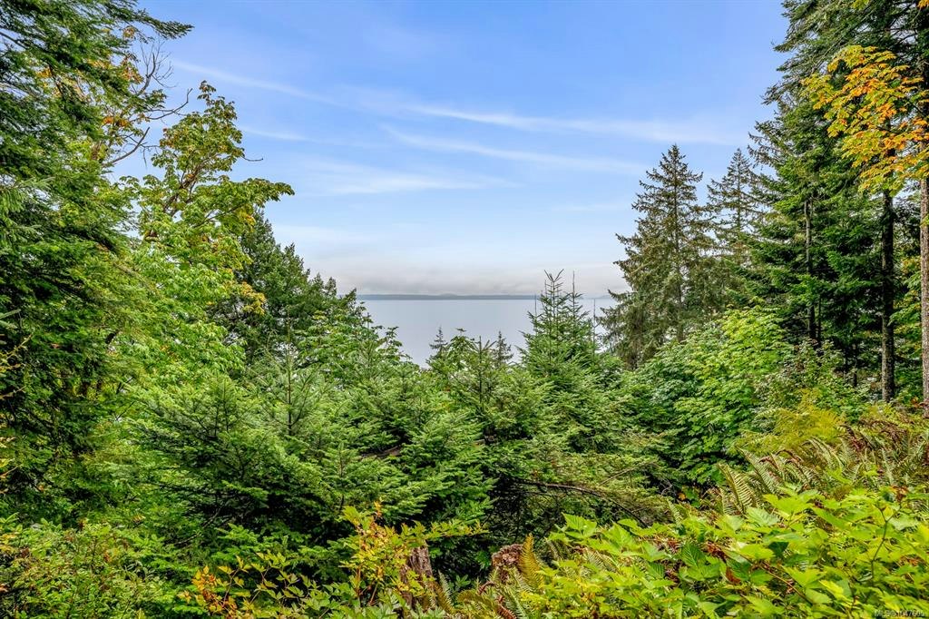 652 Fox Road, Quadra Island, BC, V0P 1N0 - 79