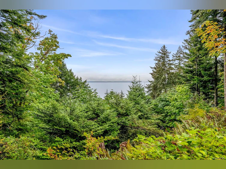 652 Fox Road, Quadra Island, BC, V0P 1N0 - 79