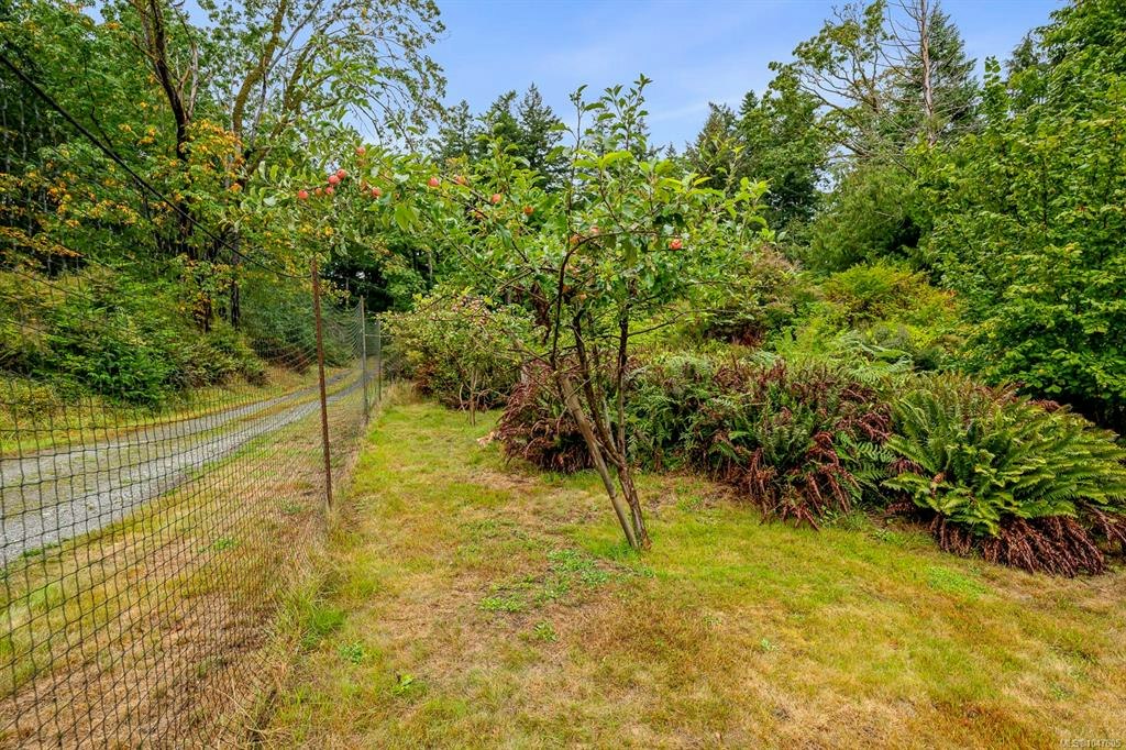 652 Fox Road, Quadra Island, BC, V0P 1N0 - 57