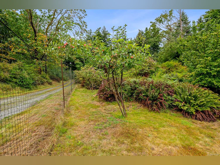 652 Fox Road, Quadra Island, BC, V0P 1N0 - 57