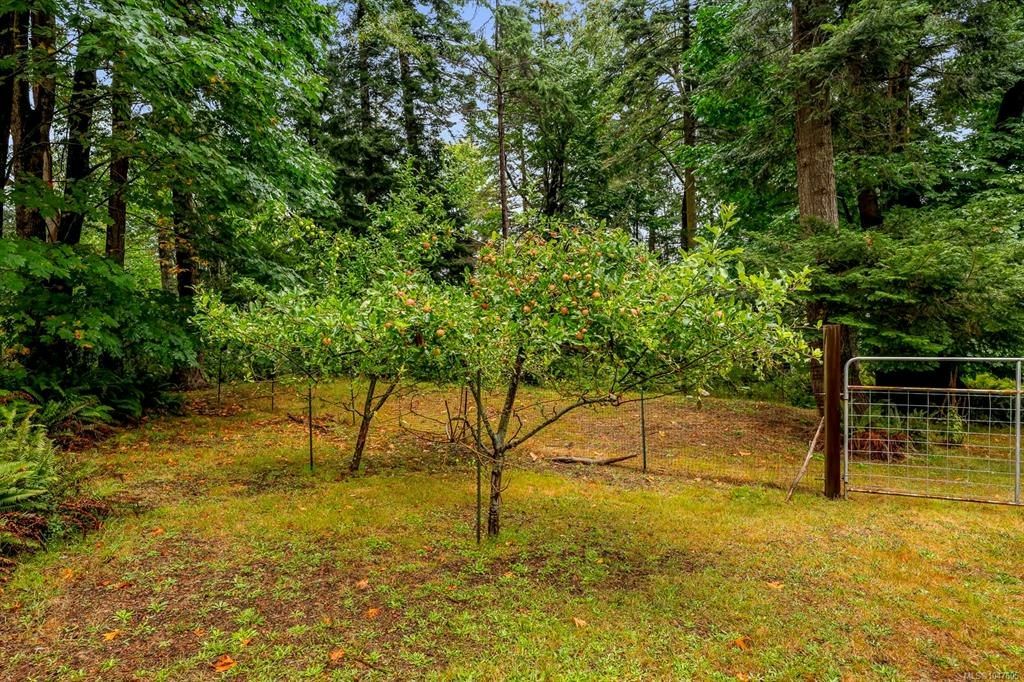 652 Fox Road, Quadra Island, BC, V0P 1N0 - 75