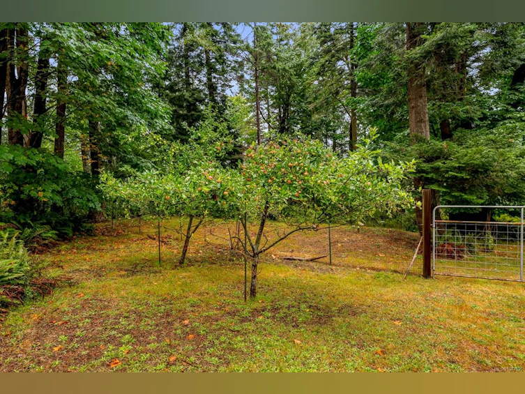 652 Fox Road, Quadra Island, BC, V0P 1N0 - 75