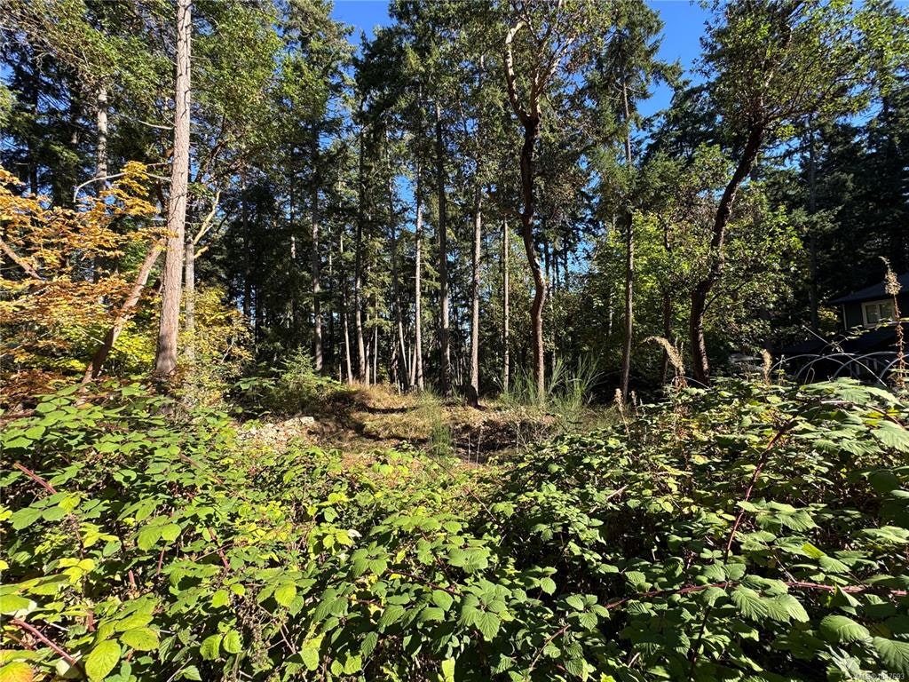164 Pirates Lane, Protection Island, BC, V9R 6R1