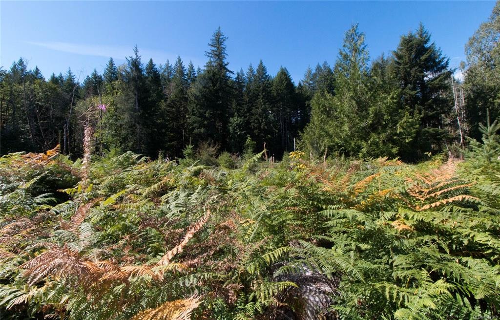 LT 8 South Farnham Road, Merville, BC, V9J 1N6