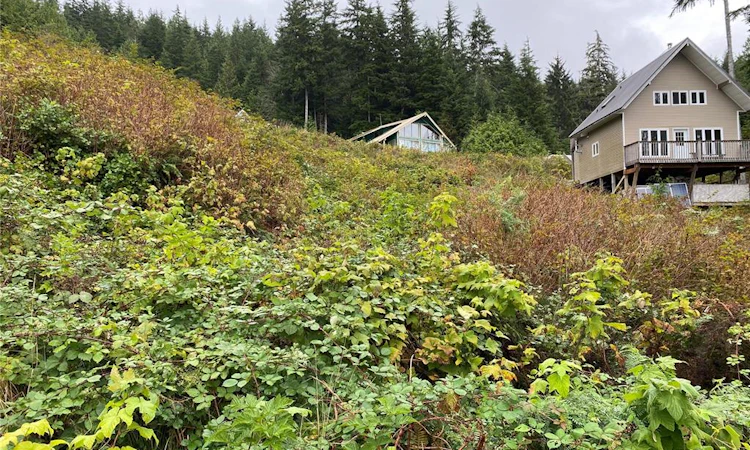 Lt 65 Haggard Cove