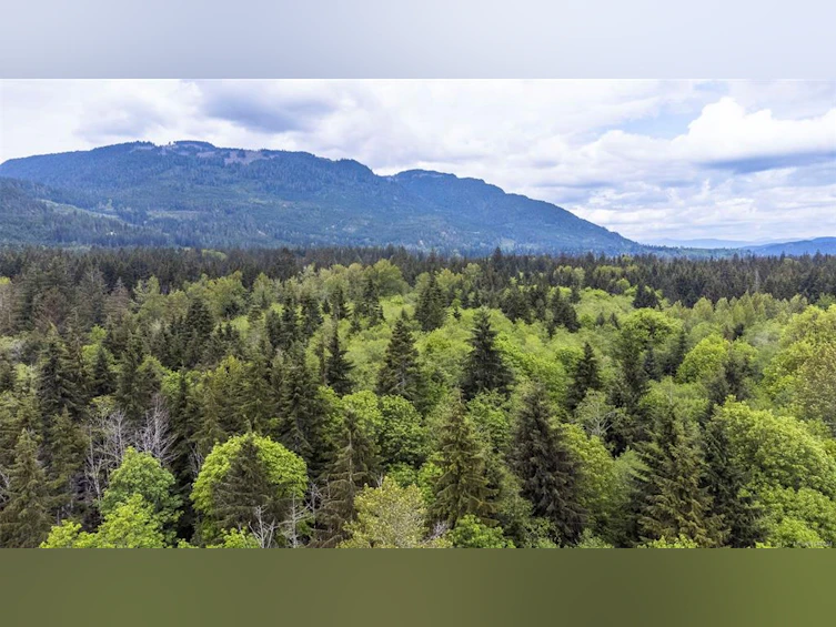 400 Dyer Road, Kelsey Bay/Sayward, BC, V0P 1R0 - 46