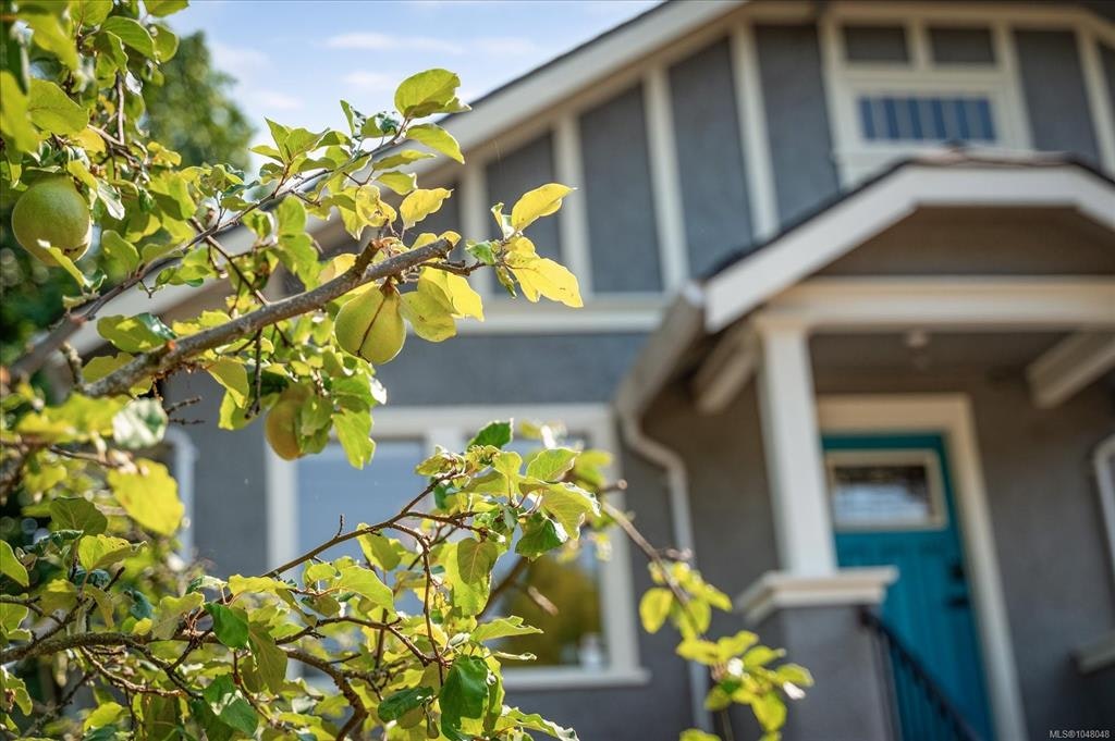 733 Fitzwilliam Street, Nanaimo, BC, V9R 3B7 - 58