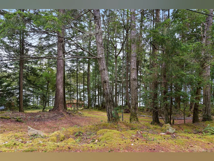 707 Wilks Road, Mayne Island, BC, V0N 2J1 - 51