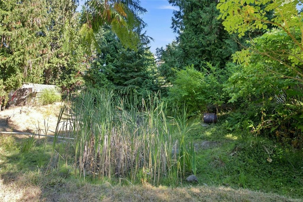 945 Little Mountain Road, Errington, BC, V9P 2C3 - 60