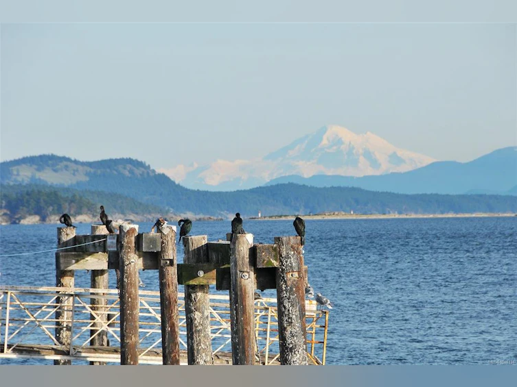 29-2353 Harbour Road, Sidney, BC, V8L 3X8 - 36