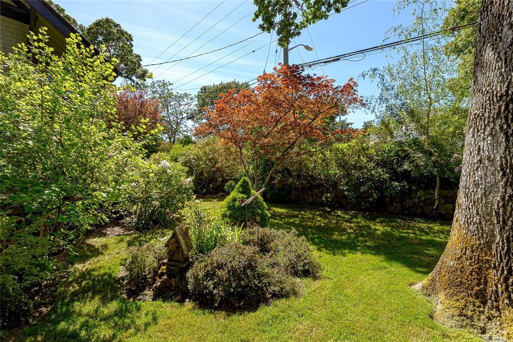 875 Richmond Avenue, Victoria, BC, V8S 3Z2 - 52