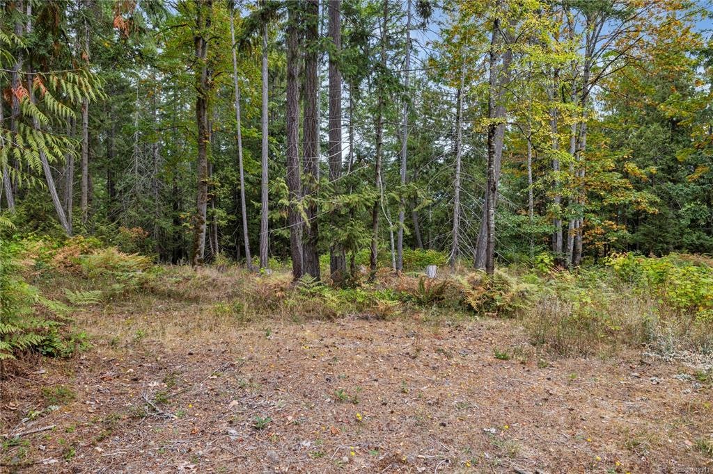 381 Fourneau Way, Parksville, BC, V9P 2J8 - 46