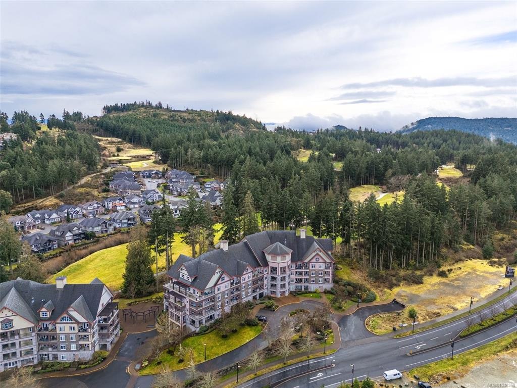 419-1395 Bear Mountain Pkwy - 2
